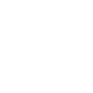 shield 667368