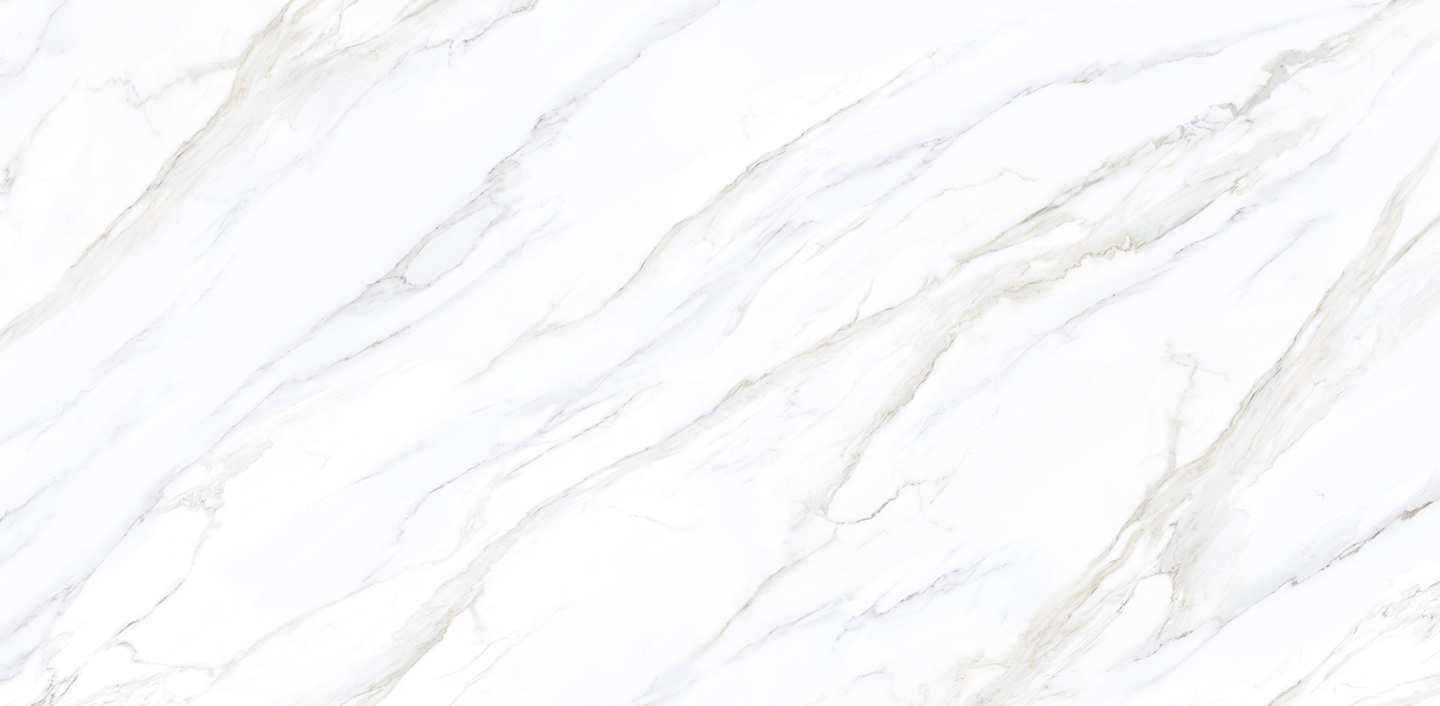 10121 Calacatta Arlena slab resize